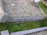 image of grave number 555043